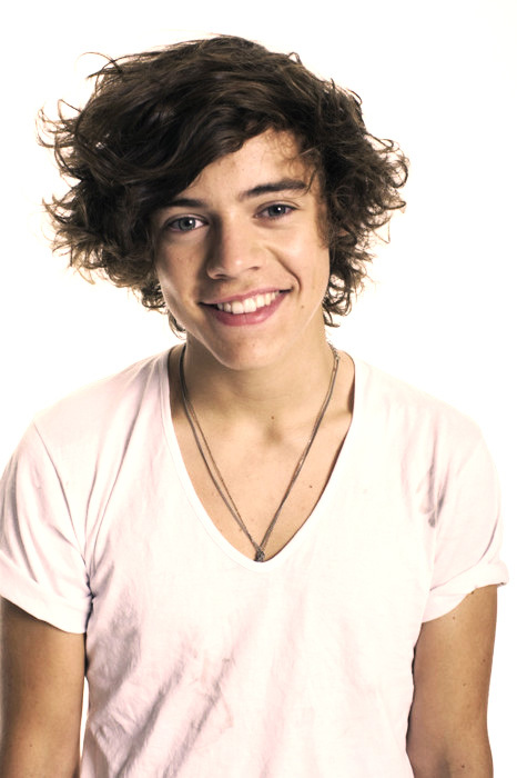 Harry-Styles-harry-styles-31245874-466-700